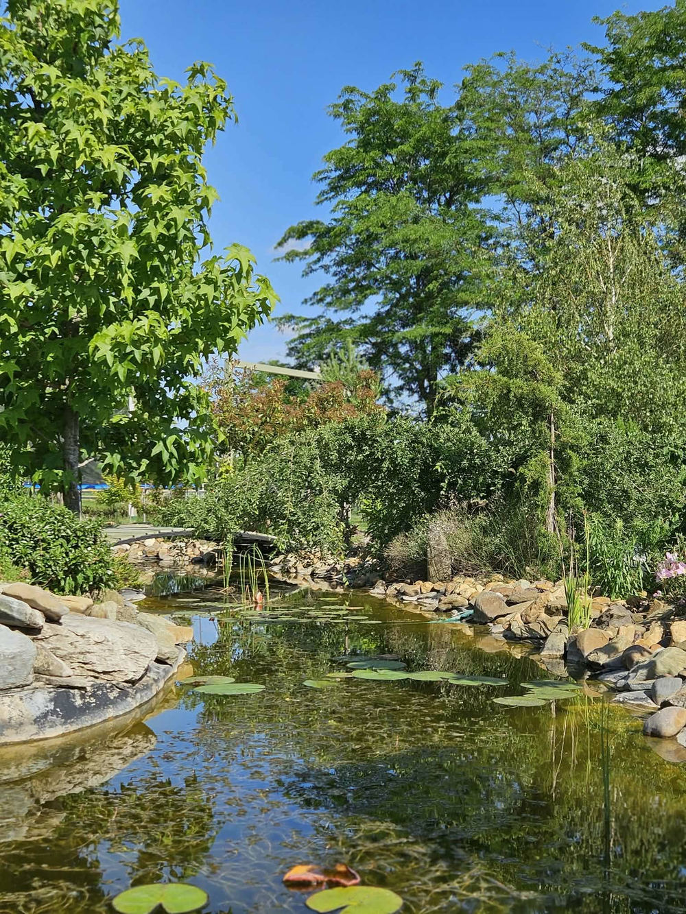 Halastó a birtokon